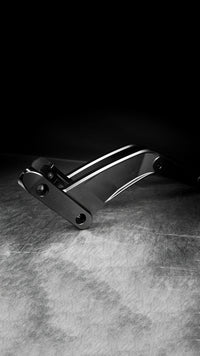 Raceworks Fender Struts V1.1 - Fat Bob 2018-2024