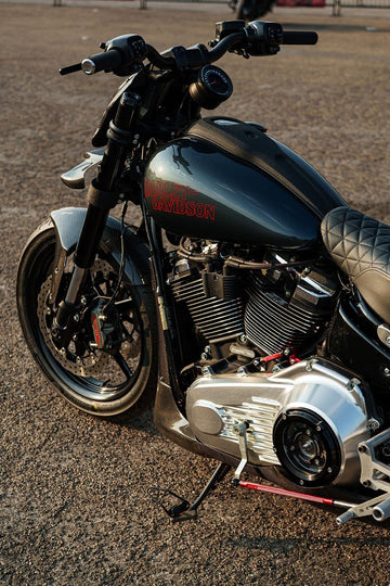 2025 Harley-Davidson Low Rider S custom, tank and engine from above