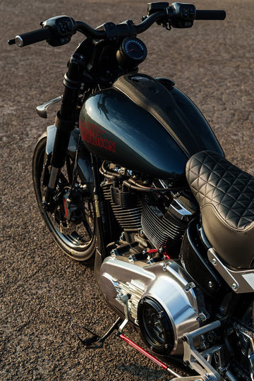 2025 Harley-Davidson Low Rider S custom, tank and gauge from above