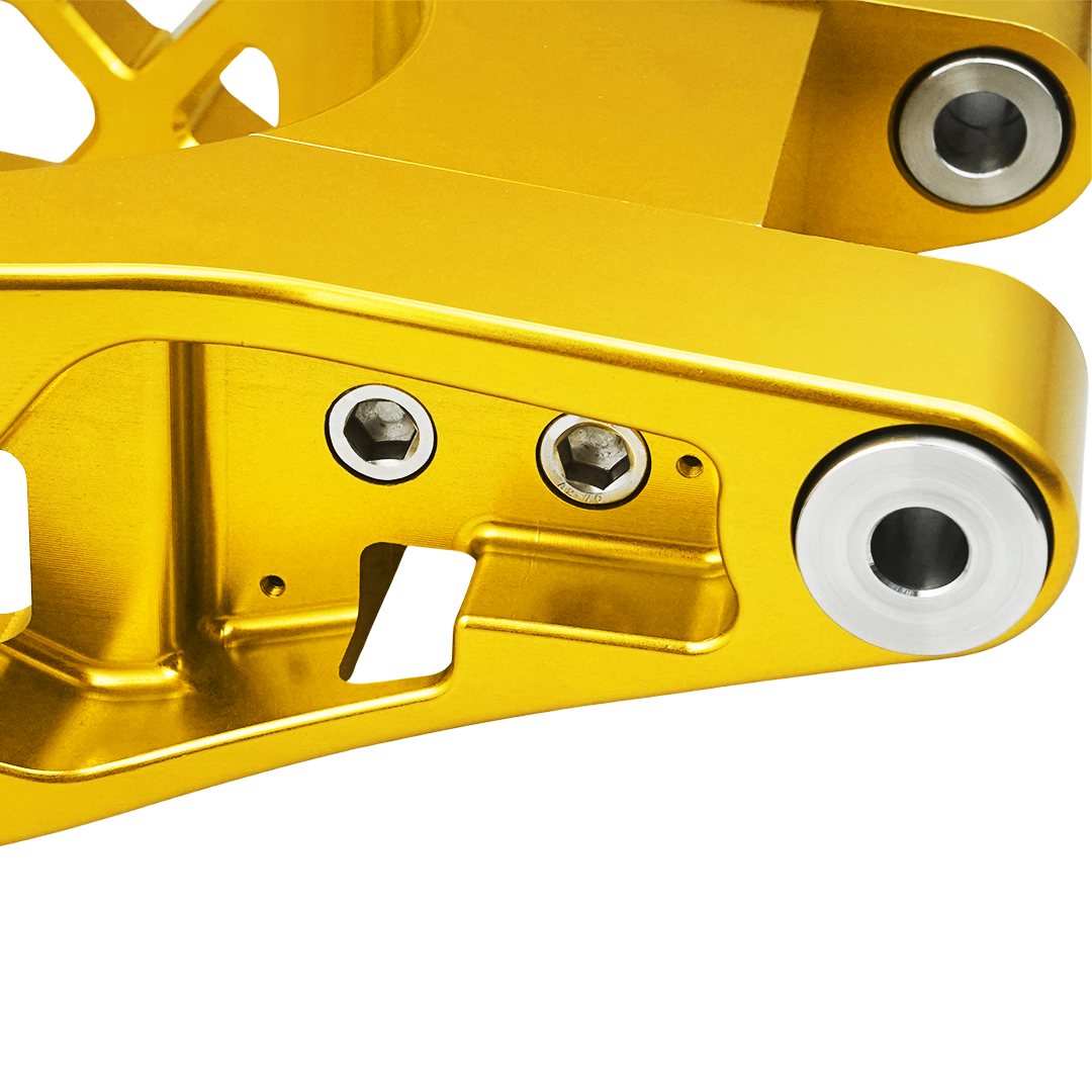 Raceworks Billet Swingarm RR Style - Touring 2009-up