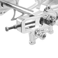 Raceworks Billet Swingarm RR Style - Touring 2009-up