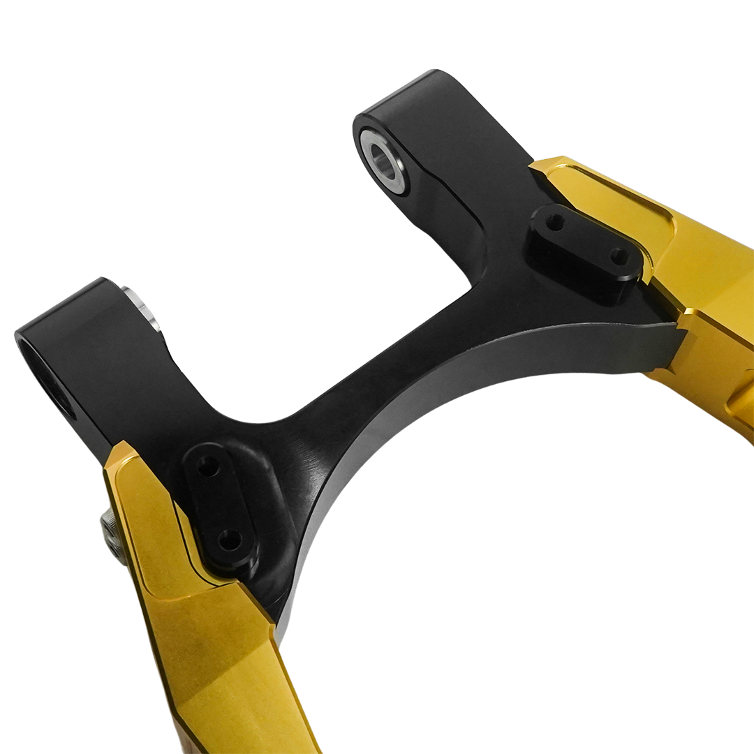 Raceworks Billet V1.1 Swingarm - Dyna 2000-2005