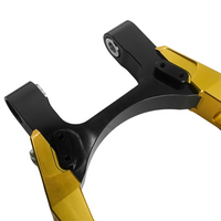 Raceworks Billet V1.1 Swingarm - Dyna 2000-2005