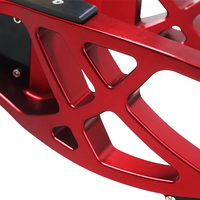 Raceworks Billet Swingarm RR Style - Touring 2009-up
