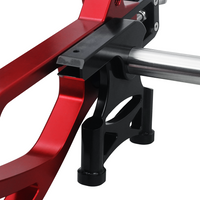Raceworks Billet Swingarm RR Style - Touring 2009-up