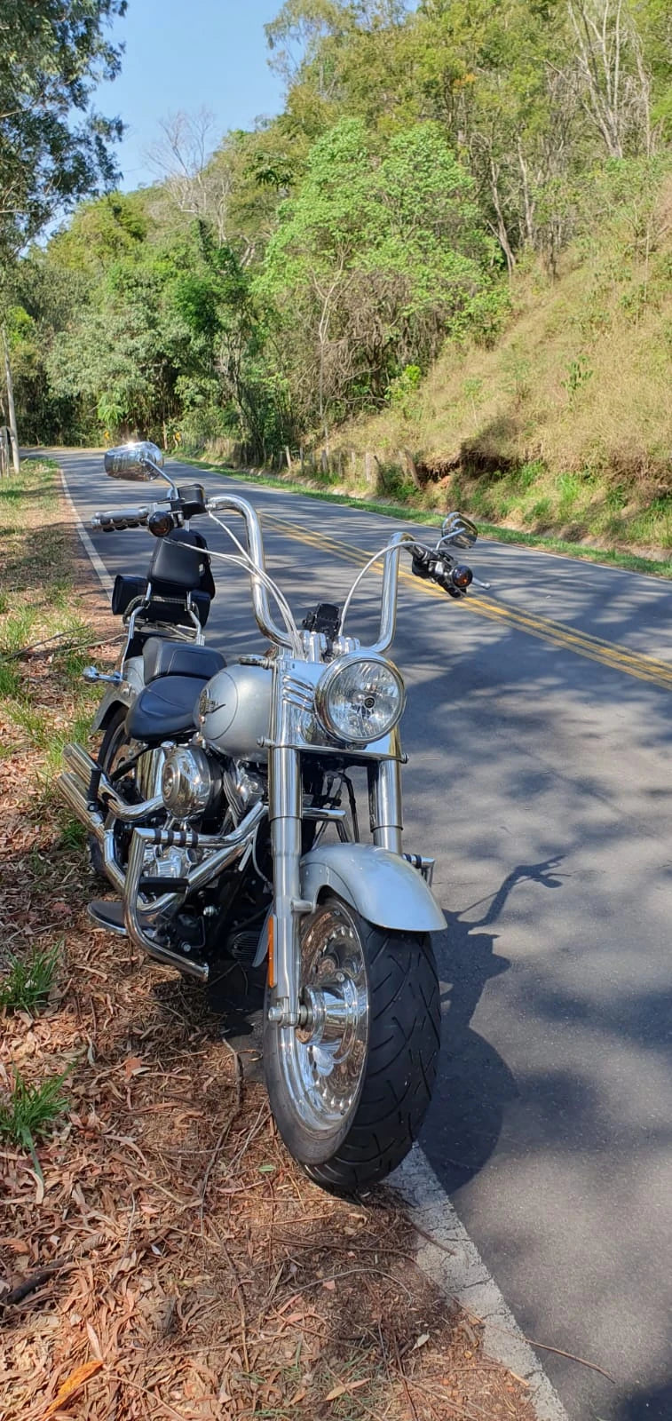Wings Custom Ape Hanger Classic Brutale 1-1/2" Handlebars - Fat Boy 00-26 - Polished Stainless Steel