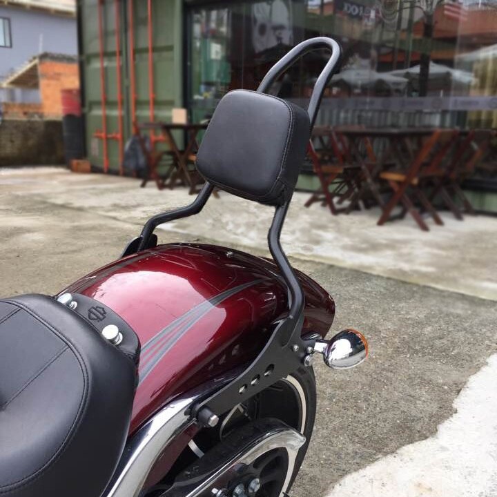 Wings Custom Sissy Bar King 20" Detachable - Fat Boy 06-26 - Gloss Black / Matte Black
