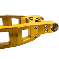 Raceworks Billet V1 Swingarm - Touring 2000-2008