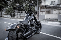 Wings Custom King Rhino 2" Engine Guard / Crash Bar - Fat Boy 18-26 - Gloss Black / Matte Black