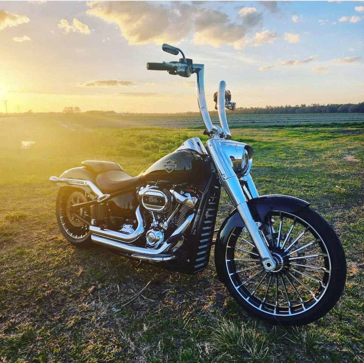 Wings Custom King Curve Rhino 2" Handlebars - Fat Boy 00-26 - Polished Stainless Steel