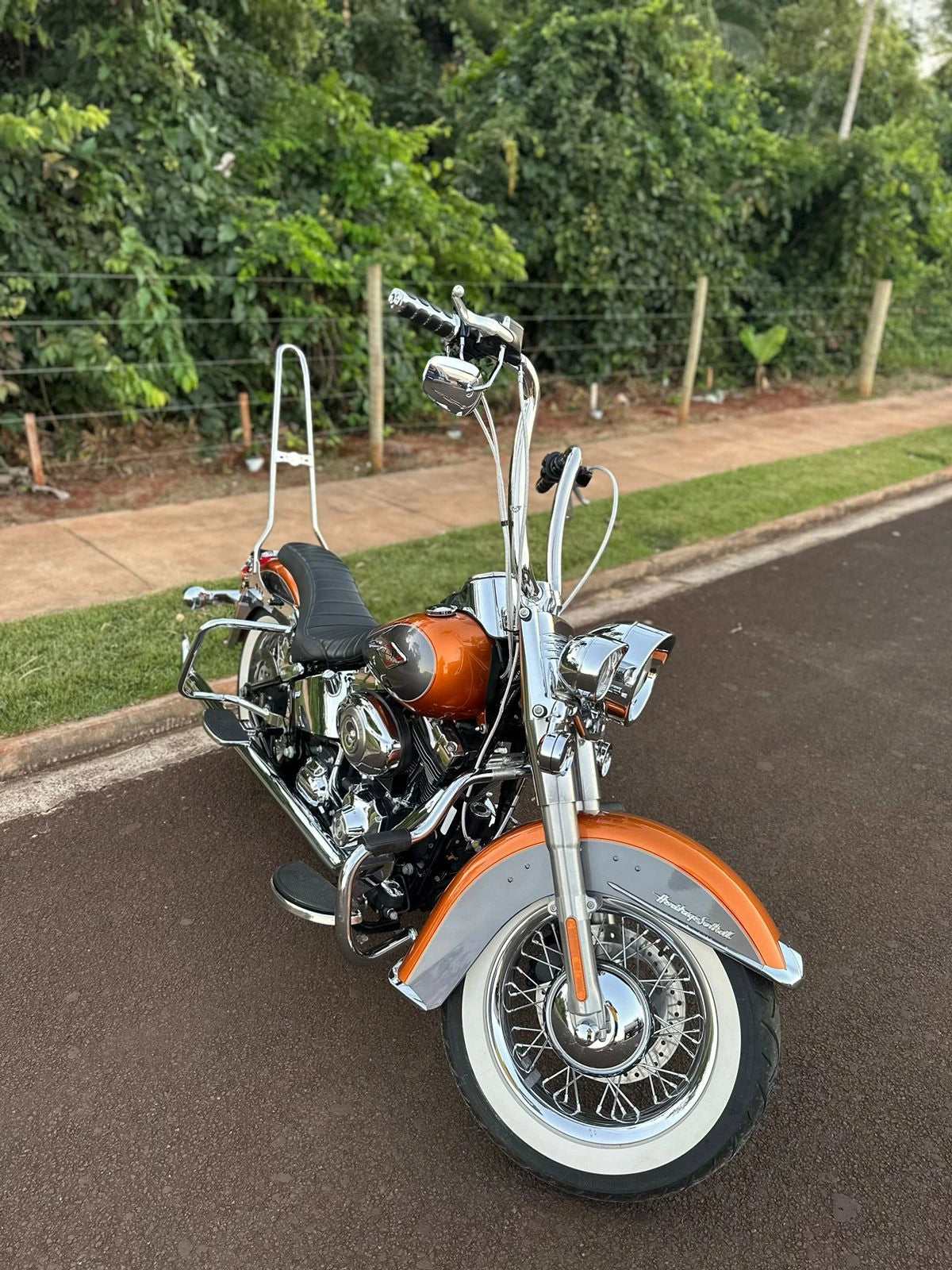 Wings Custom Ape Hanger Curve Brutale 1-1/2" Handlebars - Heritage 00-26 - Polished Stainless Steel