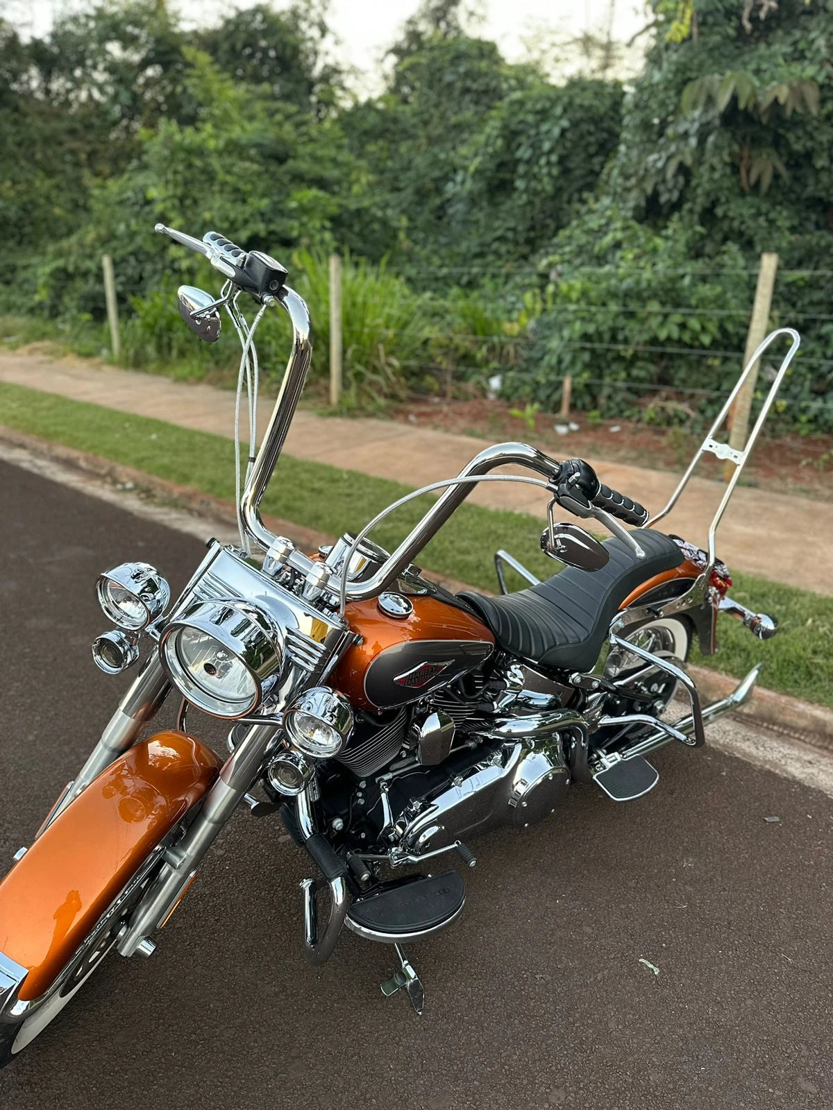 Wings Custom Ape Hanger Curve Brutale 1-1/2" Handlebars - Heritage 00-26 - Polished Stainless Steel