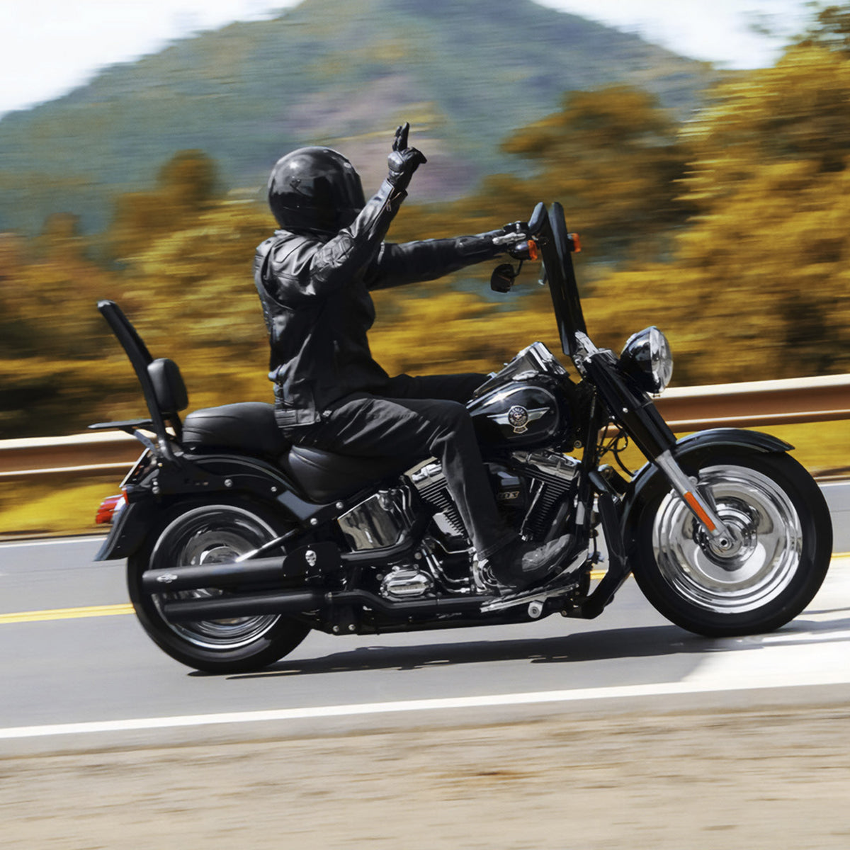 Wings Custom Sissy Bar Backbone Brutale 25" Detachable - Softail 00-26 - Gloss Black / Matte Black