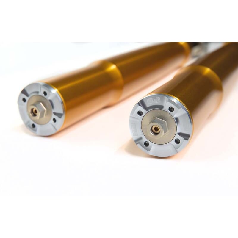 Ohlins 23-25 Harley-Davidson American V-Twin 48mm Gold Front Fork