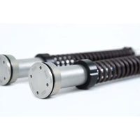 Ohlins 06-17 Harley Dyna FXD (Showa)NIX 22 Cust/Heritage Cartridge Kit (Incl. Springs 04744-10 / 11)