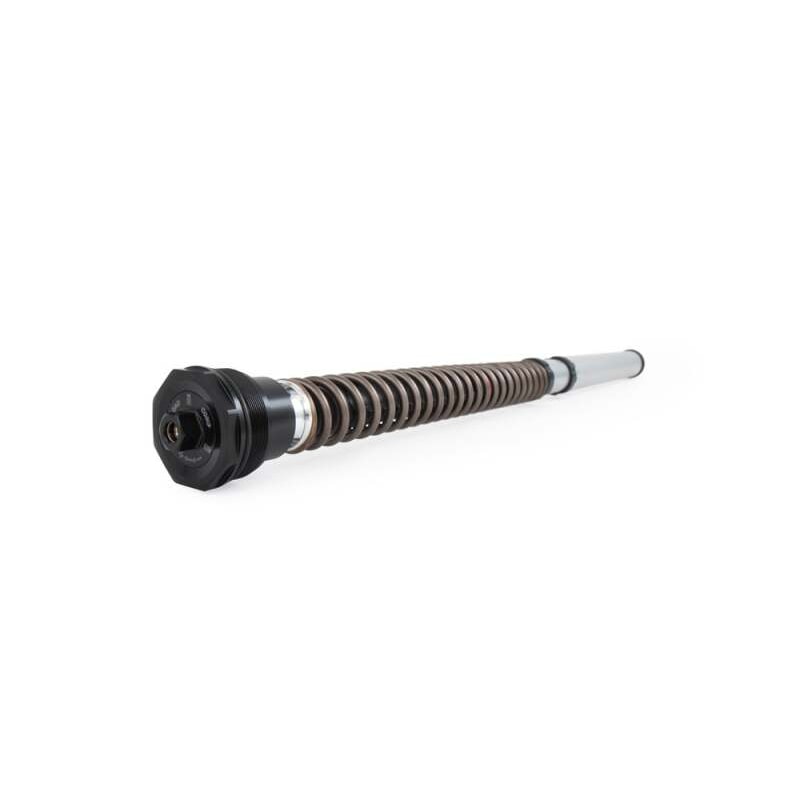 Ohlins 18-22 Harley Softail Sport Glide (Showa) NIX 30 Street Cartridge Kit (Incl. Springs/Notes)