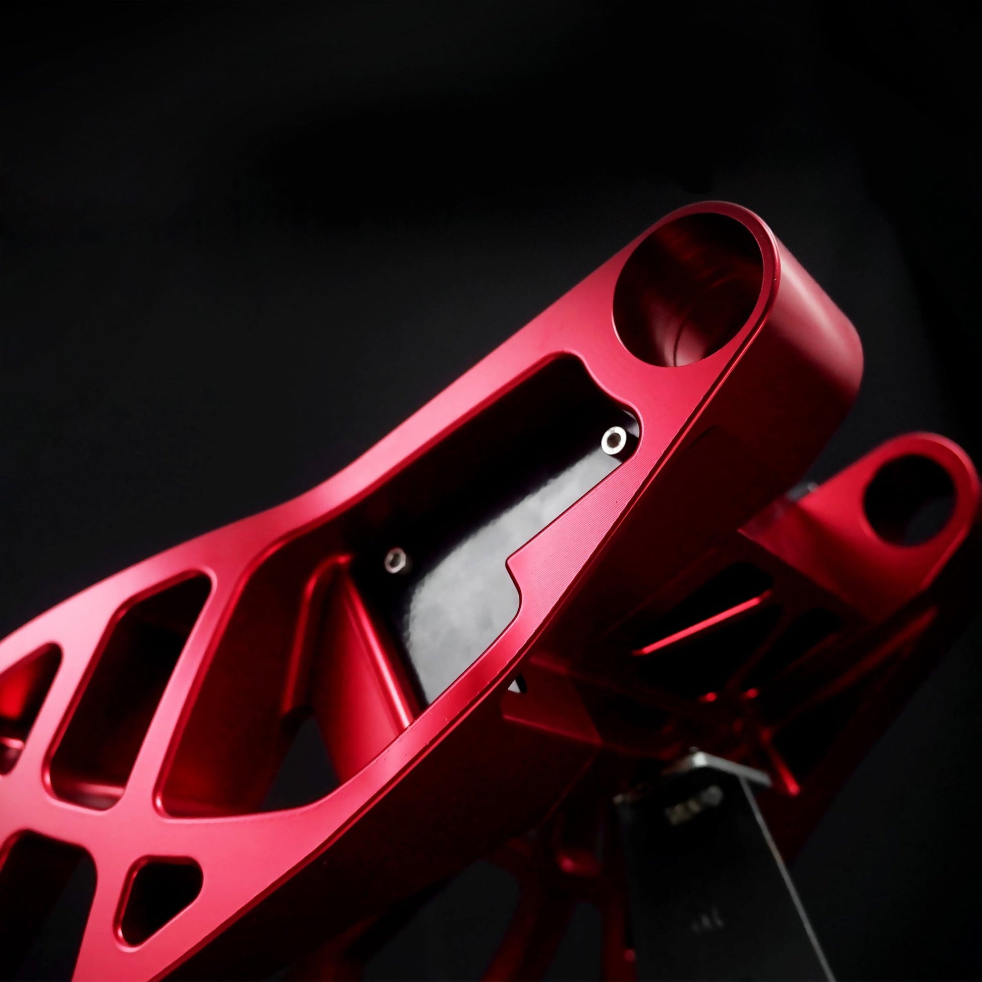 Raceworks Billet Swingarm RR Style - Touring 09 - up - Henne Company