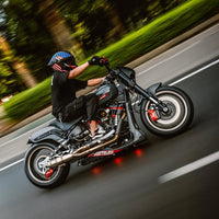 Raceworks Billet V1 Long Swingarm +3in - Softail 18 - up - Henne Company