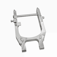 Raceworks Billet V1.1 Swingarm - Dyna 08 - 17 - Henne Company