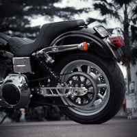 Raceworks Billet V1.1 Swingarm - Dyna 08 - 17 - Henne Company