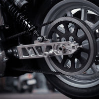 Raceworks Billet V1.1 Swingarm - Dyna 08 - 17 - Henne Company