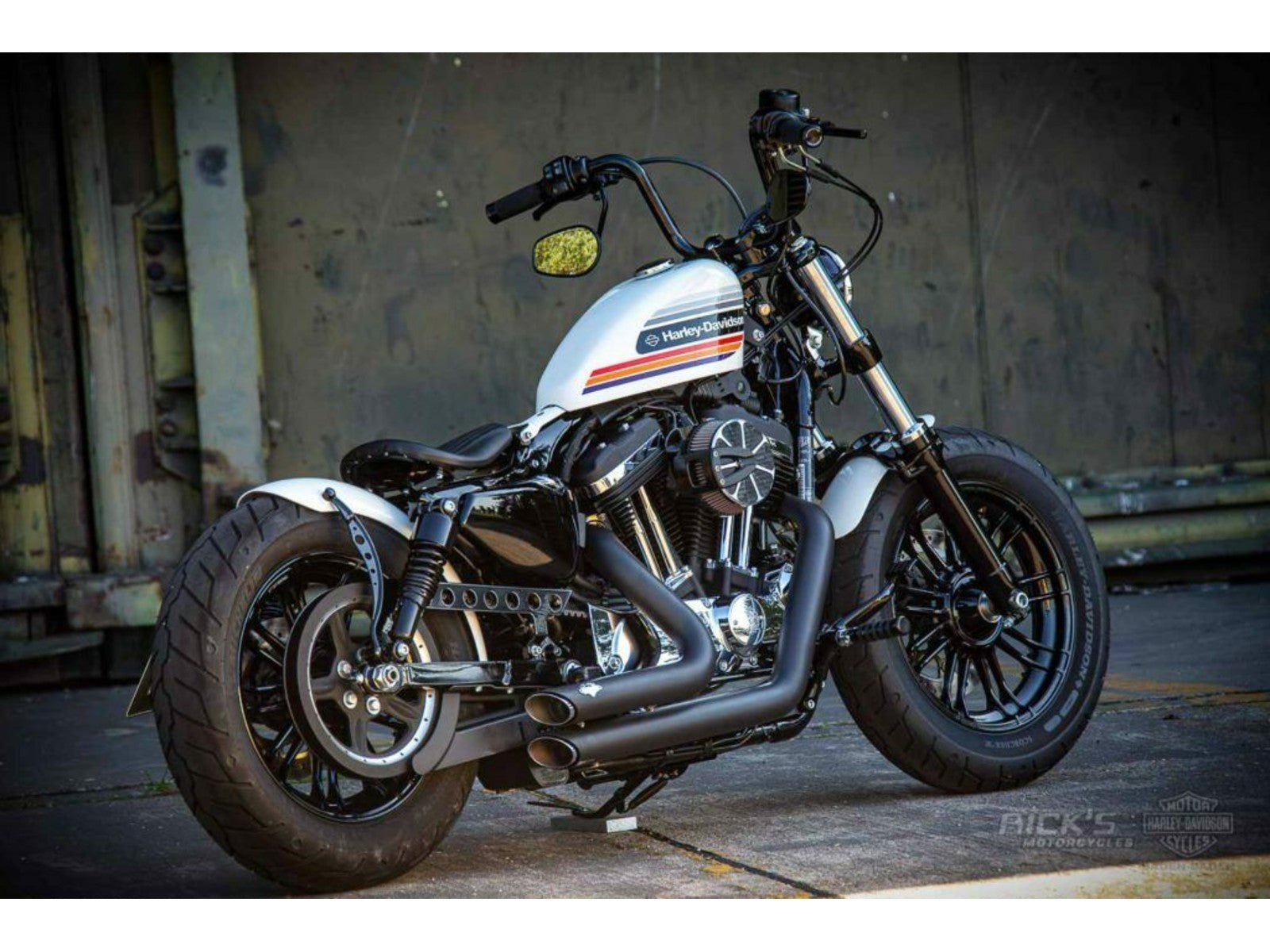 Rick's Belt Guard Gloss - Sportster 09 - up - Henne Company