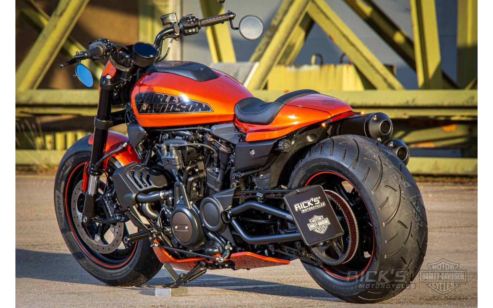 Rick's Belt Guard Matte Set - Sportster S 21 - up - Henne Company