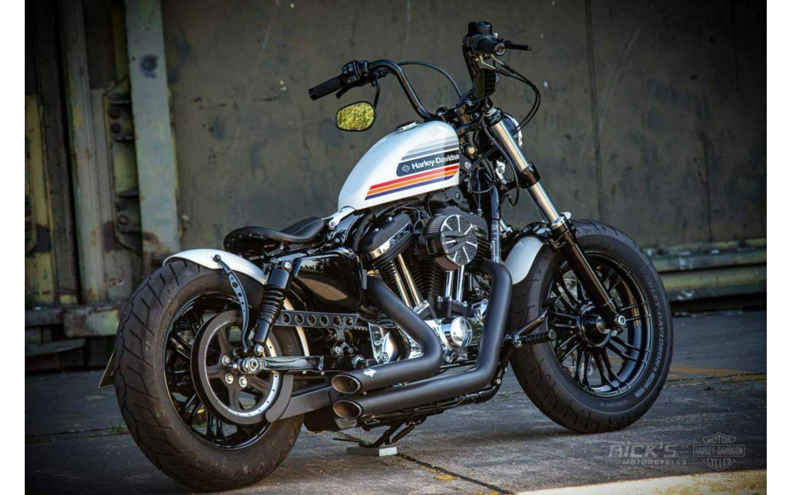 Rick's Belt Guard Matte - Sportster 09 - up - Henne Company