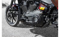 Rick's Clubstyle Rear Crash Bar - Low Rider S/ST 18 - up - Henne Company