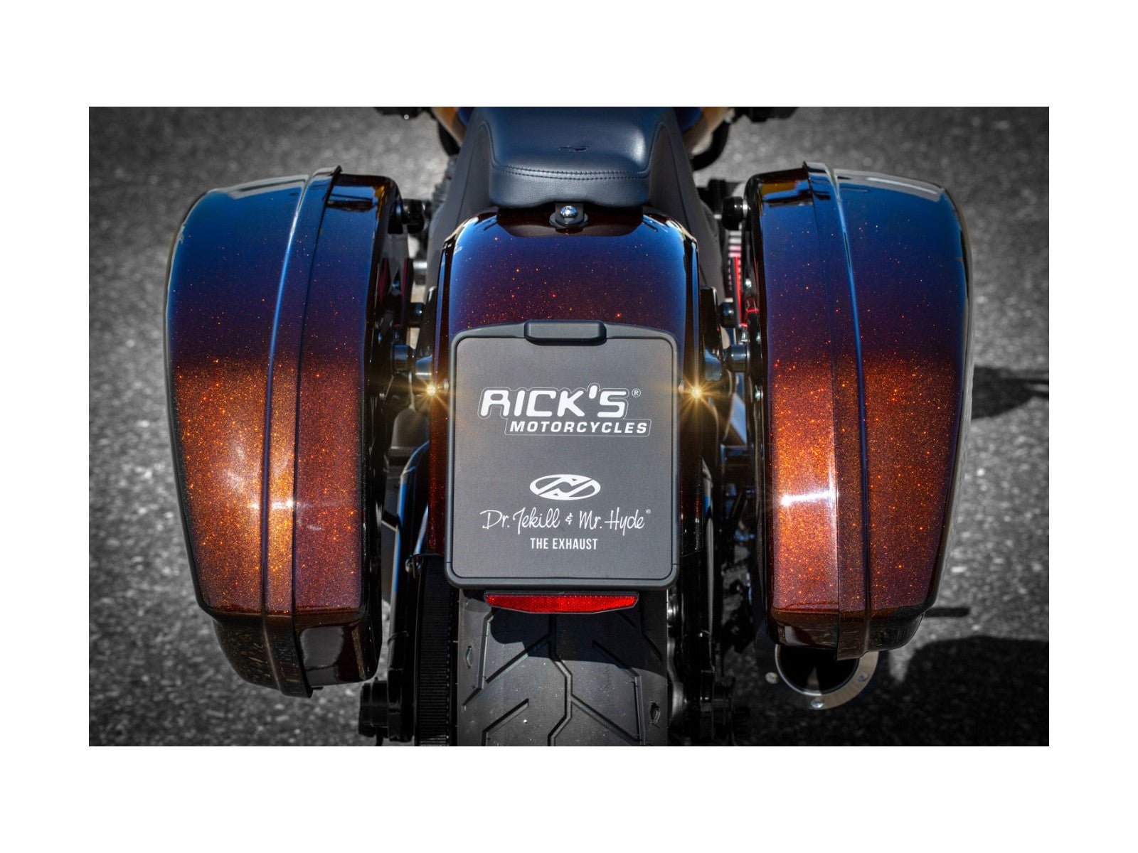Rick's Complete License Plate With Mounting Adaptor - Softail 18 - up - Henne Company