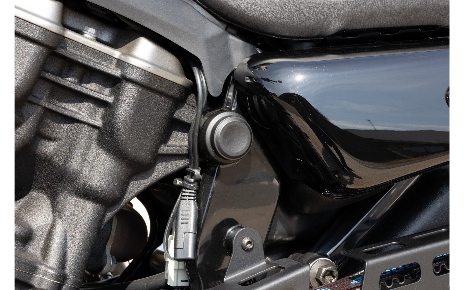 Rick's Frame Nut Covers (22mm) Cover Set - Nightster 22 - up - Henne Company