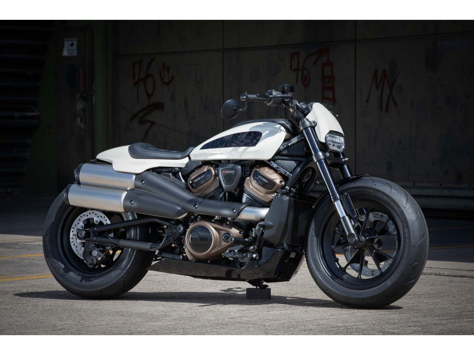 Rick's Swingarm Cable Protection Matte Black - Sportster S 21 - up - Henne Company