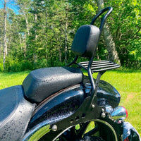 Wings Custom Sissy Bar King 20" Detachable with Luggage Rack - Breakout 13-26 - Gloss Black / Matte Black