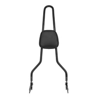 Wings Custom Sissy Bar King 30" Detachable - Softail Deluxe 05-20 - Gloss Black / Matte Black